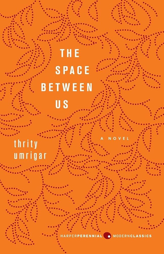 The Space Between Us: A Novel cover image