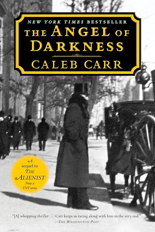 The Angel of Darkness: Book 2 of the Alienist: A Novel (Dr. Laszlo Kreizler) cover image