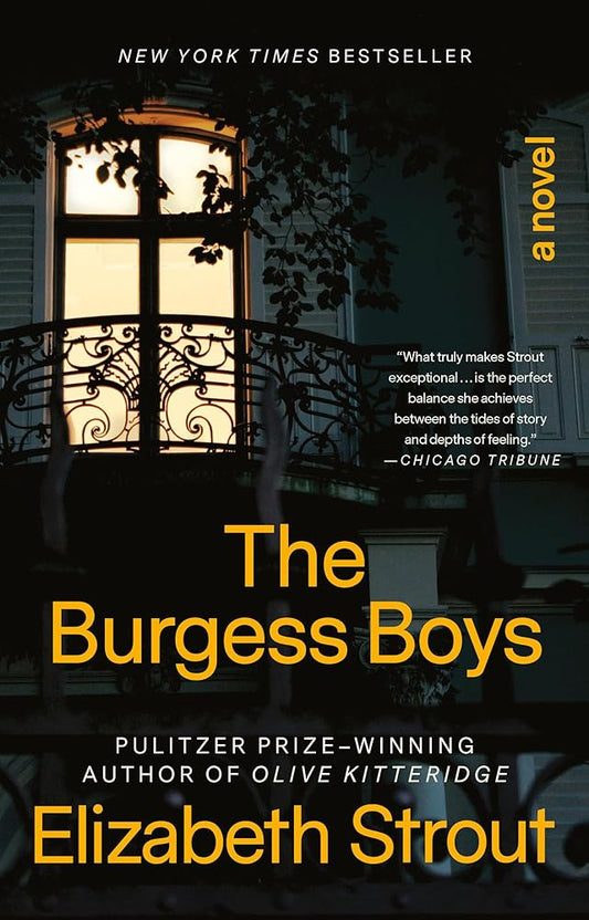 The Burgess Boys: A Novel cover image