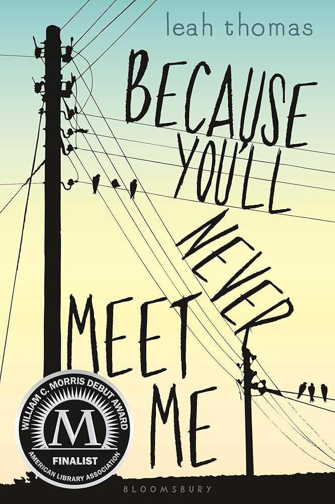Because You'll Never Meet Me cover image