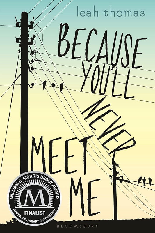 Because You'll Never Meet Me cover image